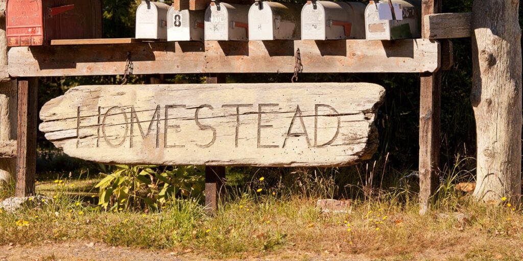 Homesteading A Complete Guide for Beginners