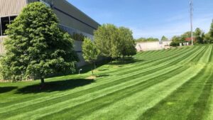 commercial lawn care